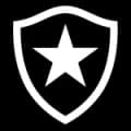 Botafogo Match Live