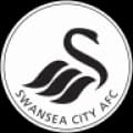Swansea City Match Live