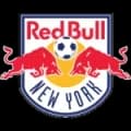 New York Red Bulls Match Live